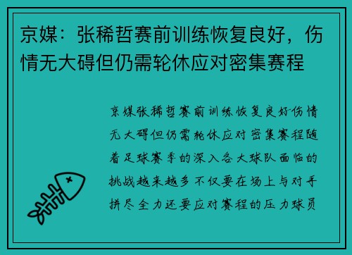 京媒：张稀哲赛前训练恢复良好，伤情无大碍但仍需轮休应对密集赛程